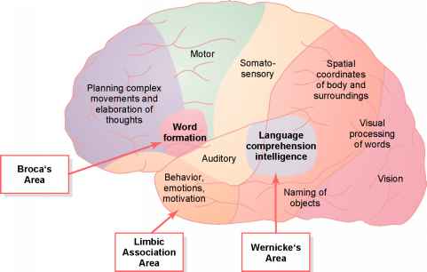 भावनाओं का अंजुमन